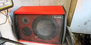 S10 10 Inch Amplified Speaker