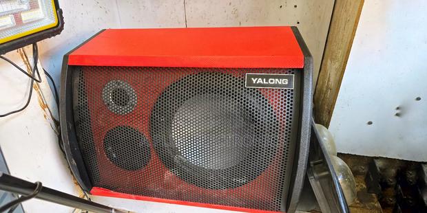 S10 10 Inch Amplified Speaker