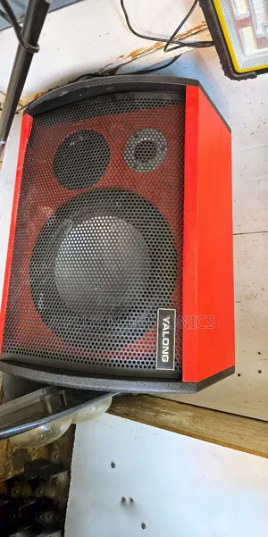 S10 10 Inch Amplified Speaker