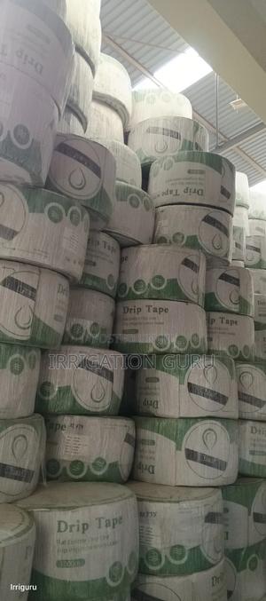 Kamba Ya Shamba - thumbnail 2