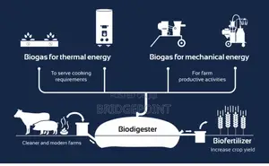 Slash Fuel Fertilizer Bills Forever With Sistema 8 Biodigester