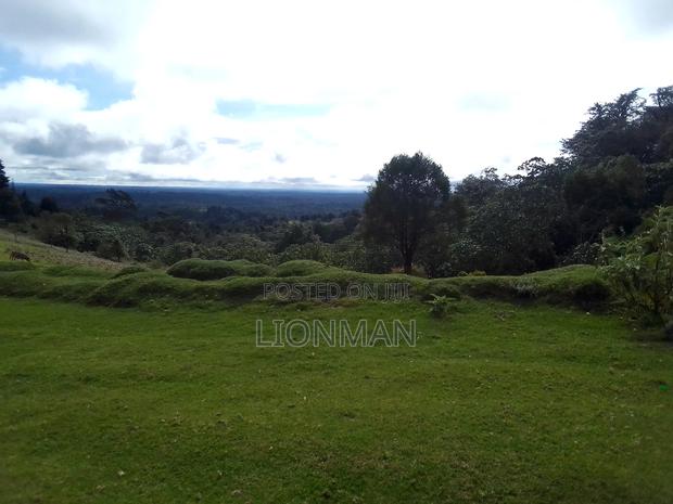 Parcel of Land at Riverside Drive