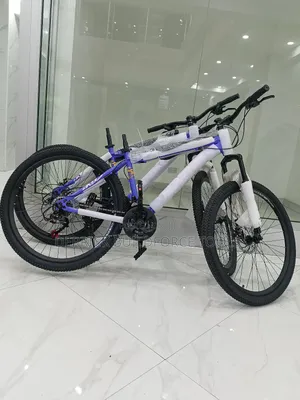 Size 27.5 Premier Rider Bike