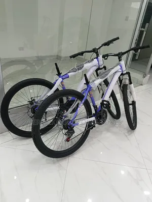 Size 27.5 Premier Rider Bike