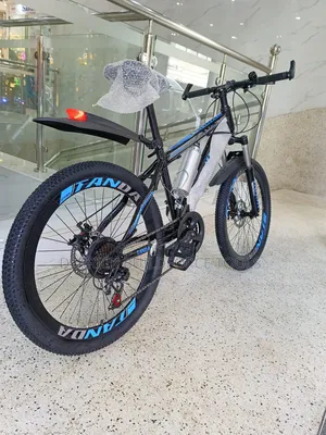 Tanda Size 24 Racing Bike