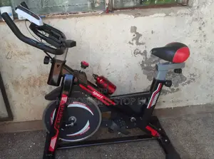 Professional Indoor Spin Bike for Home and Gym Training