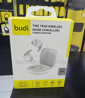 Budi Earpods