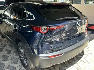 Mazda CX-30 2019 Blue