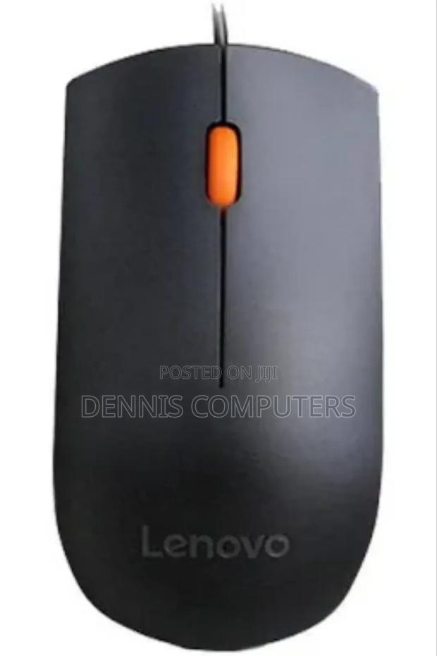 Lenovo 300 Wired Usb Mouse - Black - Gx30m39704