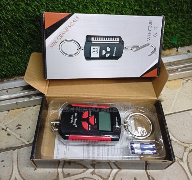 Wh-c200 Mini Electric Crane – Powerful Lifting Made Easy! - main view