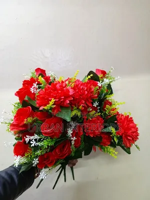 Pink Red Roses Pink Red Roses