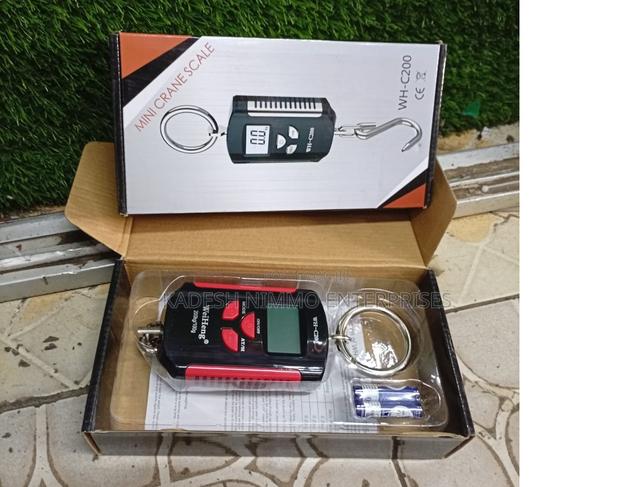 Wh-c200 Portable Hoist Crane – Strong, Reliable & Efficient - main view