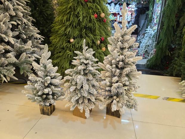 A Set of 3 Pre Lit Mini Christmas Trees* - thumbnail 2