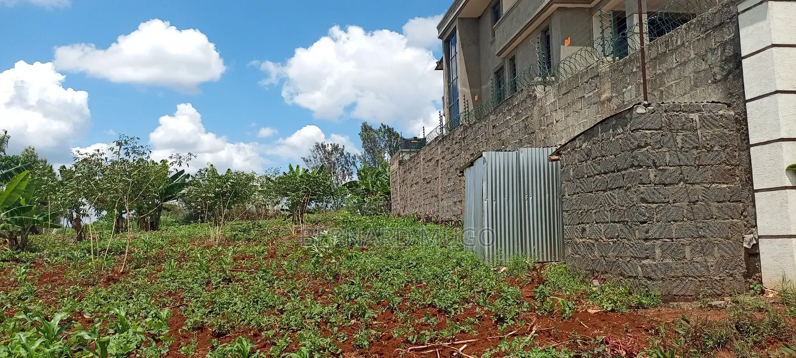 Plot for Sale