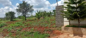 Plot for Sale