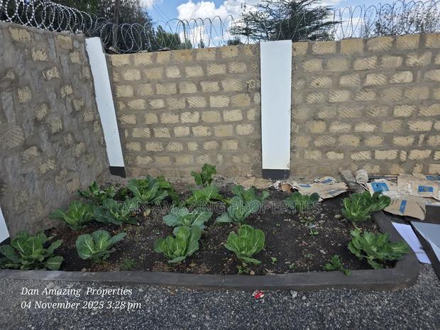 4bdrm Bungalow in Merisho, Matasia for rent - thumbnail 13