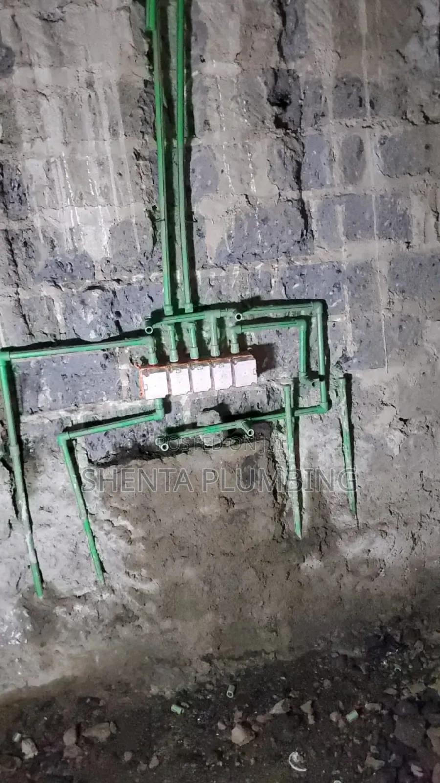 Professional Plumber