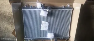 Nissan Ad Radiator