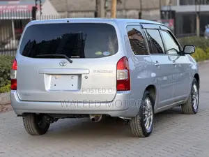 Toyota Probox 2019 Silver
