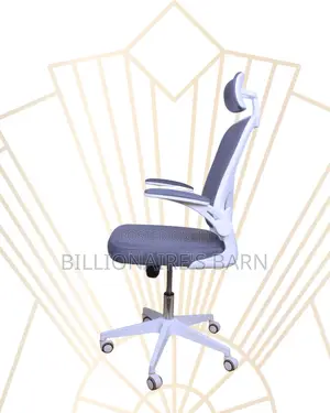 Premium Executive Ergonomic Frame Steel | Comfort Meets Style