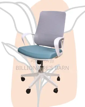 Durable Study White Work Ergonomic Chair — | Order Yours Today