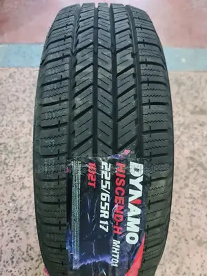 225 /65 R17 Dynamo Tyres (Highway Terrrain)