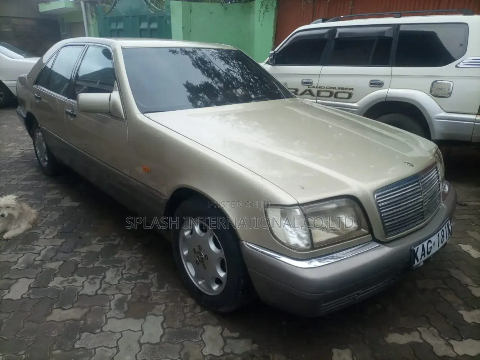 Mercedes-Benz S-Class 1995 Gold