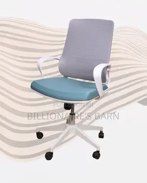 Space-Saving Ergonomic Mesh Orthopedic Chair|Perfect for Home Office