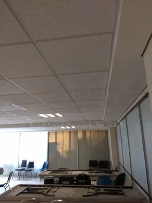 Gypsum Acoustic Ceilings Interior Design
