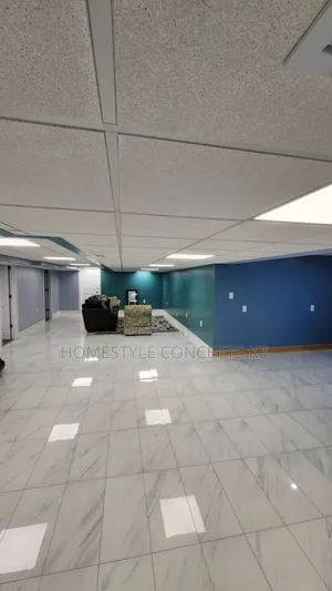 Panrls Suspended Acoustic Ceilings