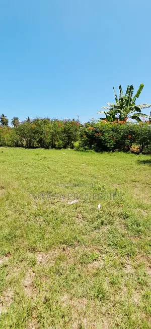 Plots for Sale Majengo Kikambala