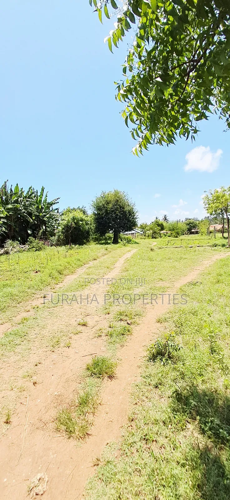 Plots for Sale Majengo Kikambala