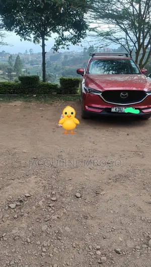 New Wine Red Mazda Cx-5(Chauffeured)