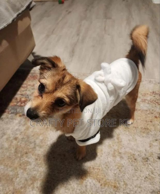 Pet Bathing Robes - thumbnail 4