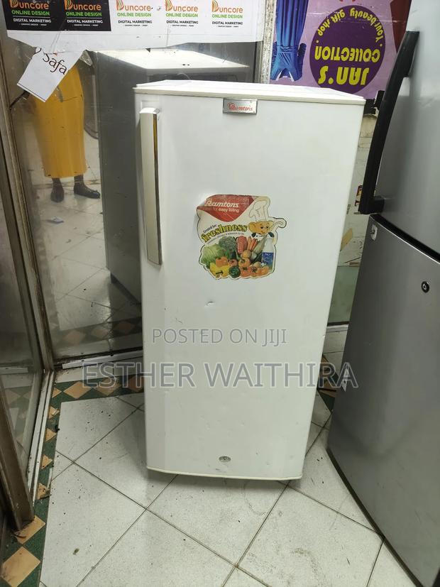 Pure White Ramtoms Single Door Fridge - main view