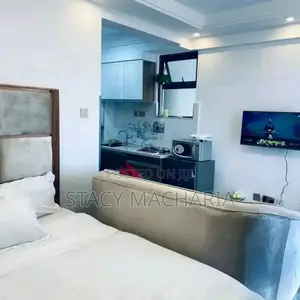 Fully Furnished Lavish Studio Airbnb in South B
