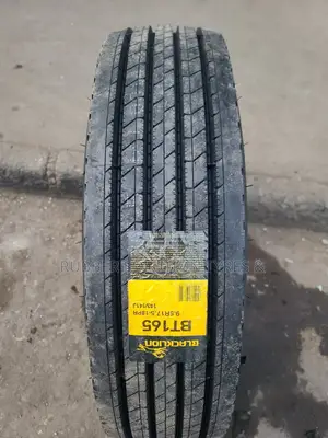 9.5r17.5 Blacklion Tires
