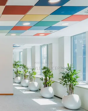 Acoustic Ceilings Office Renovations Interior Design