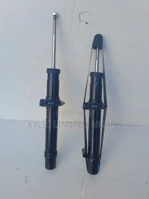 Honda Odyssey Rb1, Rb3 Front Shock Absorbers