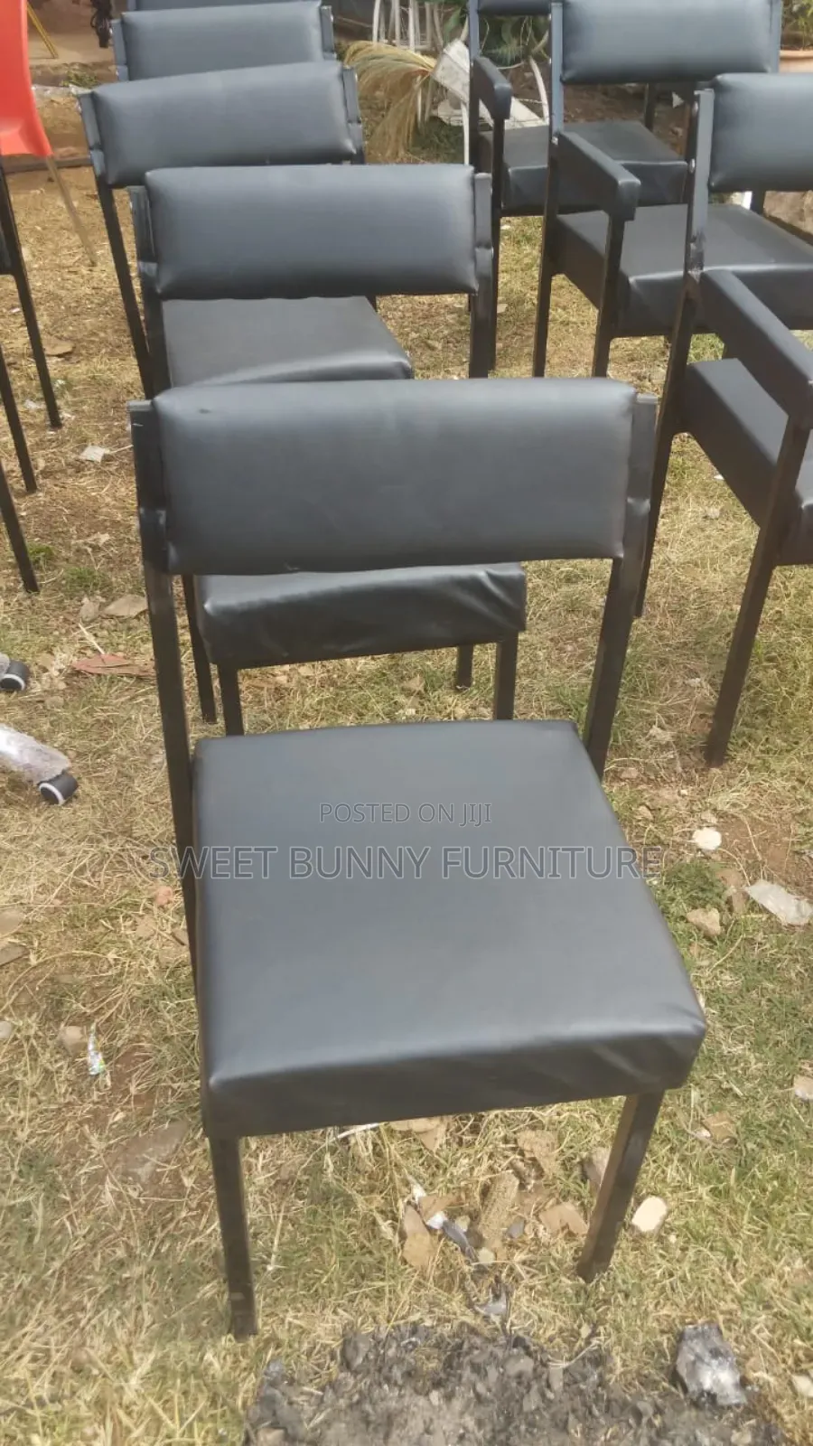 Caterina Chairs