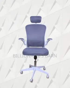 Durable Castors Office Ergonomic Chair | Order Yours Today