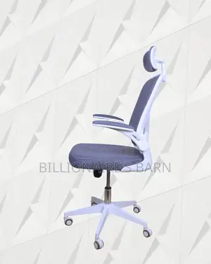 Durable Castors Office Ergonomic Chair | Order Yours Today