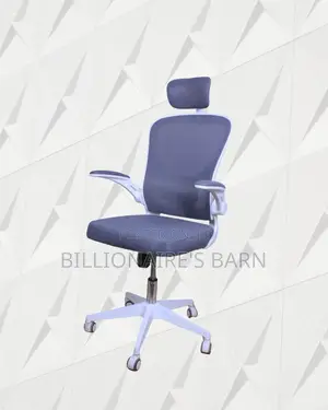 Durable Castors Office Ergonomic Chair | Order Yours Today