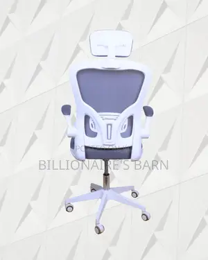 Durable Castors Office Ergonomic Chair | Order Yours Today