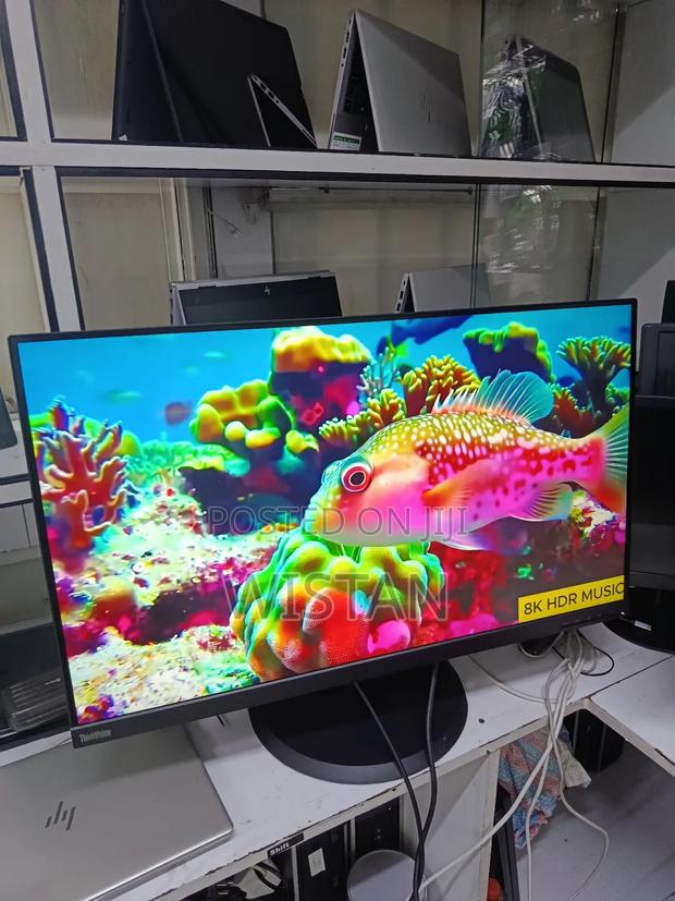 Lenovo Think Vision Frameless Monitor 32 Inches