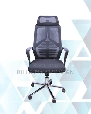 Pro Backrest Mesh | Mesh | Top Seller in Kenya