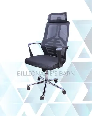 Pro Backrest Mesh | Mesh | Top Seller in Kenya