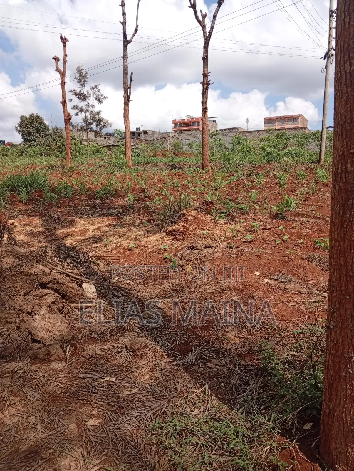Plot for Sale in Ruiru