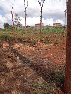 Plot for Sale in Ruiru