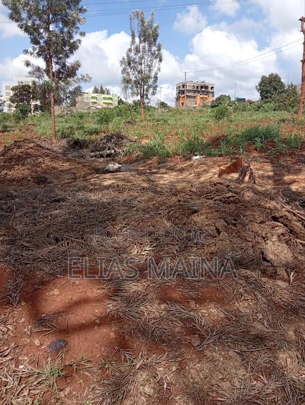 Plot for Sale in Ruiru - thumbnail 4